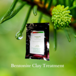 Moroccan Bentonite Clean Skin Clay Mask