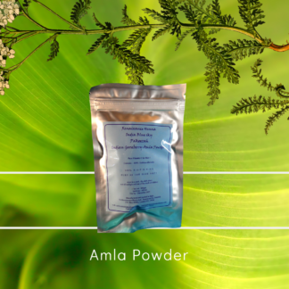 Healthy hair care amla hair treatment powder; product image of sealed foil packet with blue label against green plant background