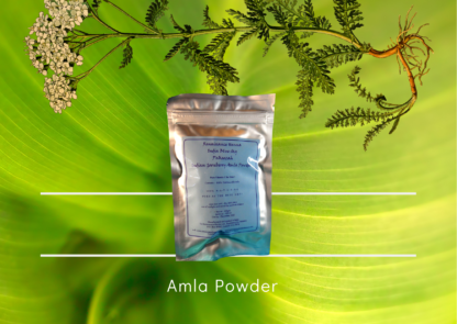 Healthy hair care amla hair treatment powder; product image of sealed foil packet with blue label against green plant background