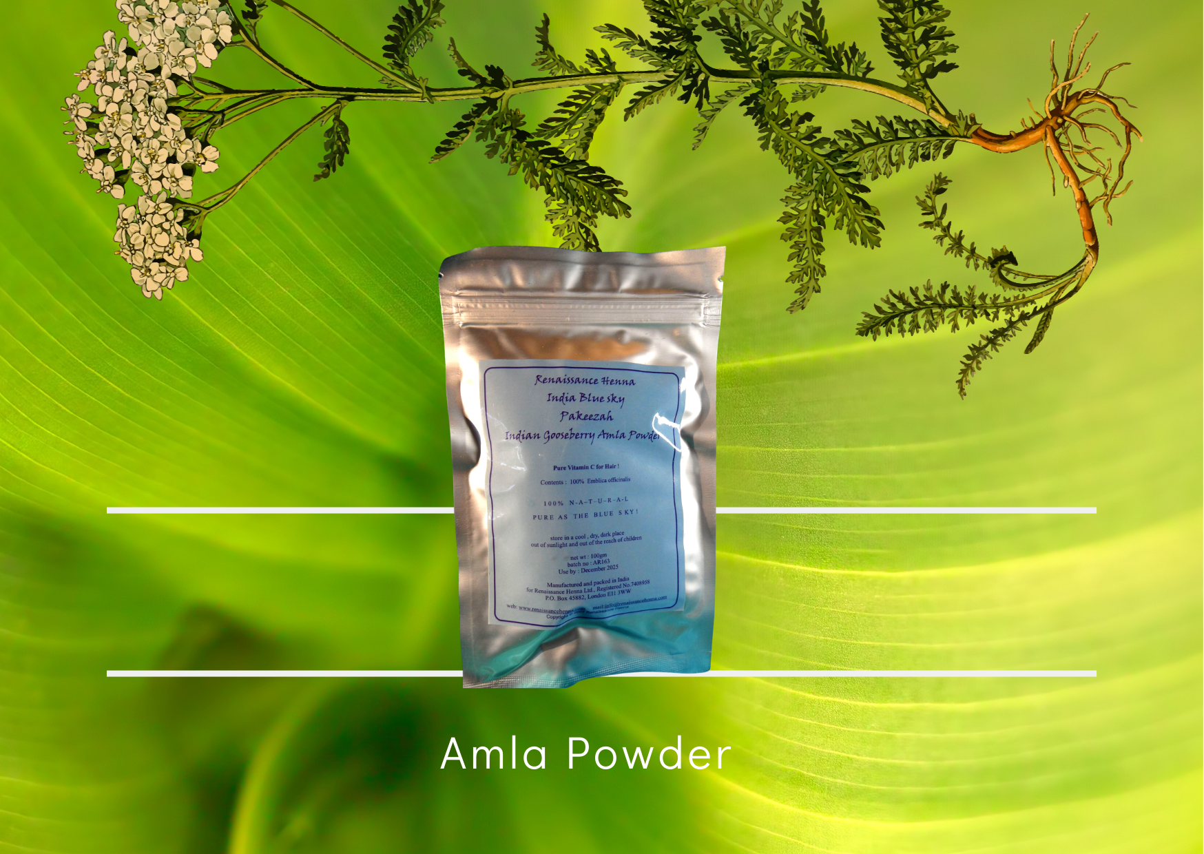 Healthy Hair Care | Amla Powder | Renaissance Henna