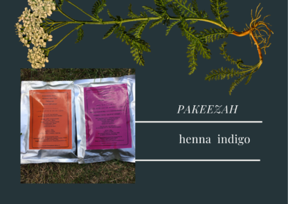 Picture of Renaissance henna and indigo packets against a botanical plant background