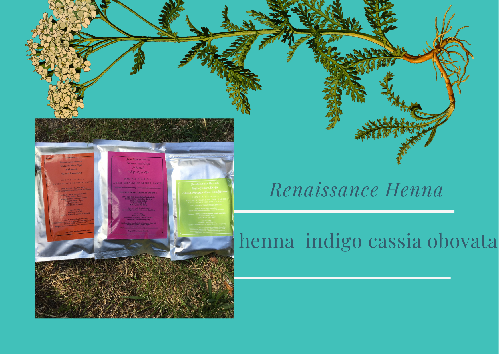henna, indigo and cassia obovata herbal hair colour packets displayed against a natural plant and plant root background