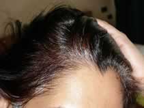 Indigo Plant Hair Dye | Natural Hair Dye | Renaissance Henna
