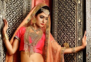 Shop Natural Beauty Products Renaissance Henna, INdian lady wearing gholden jewellery and red silk traditional dress