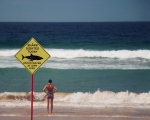 use chemical hair dye at your own risk; woman in bikini contemplating entering the ocean , standing by a shark warning sign 