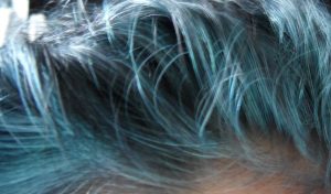 Blue hair colour with indigo dye in grey hair 