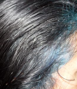 Close up Blue Streak Hairline in Black hair Colour