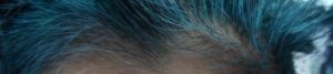 Indigo Blue Hair in Grey Hair