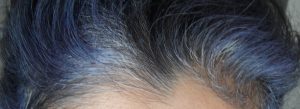 Purple Hair Colour Fade with Indigofera tinctoria hair dye 