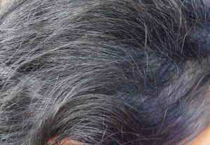 Violet Blue in Grey hair with Indigo Plant Hair Dye 