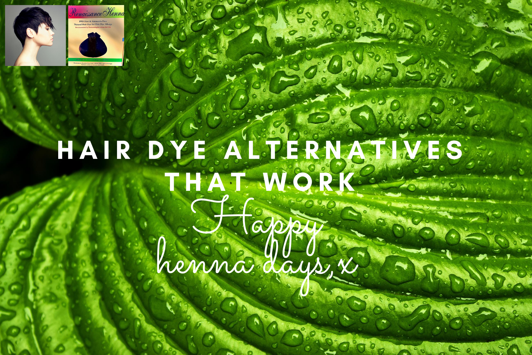 natural hair dye image of green leaf with caption Hair Dye Alternatives that Work and image of model with short black hair and a natural hair dye kit by Renaissance Henna - specialising in henna and indigo natural plant hair dye