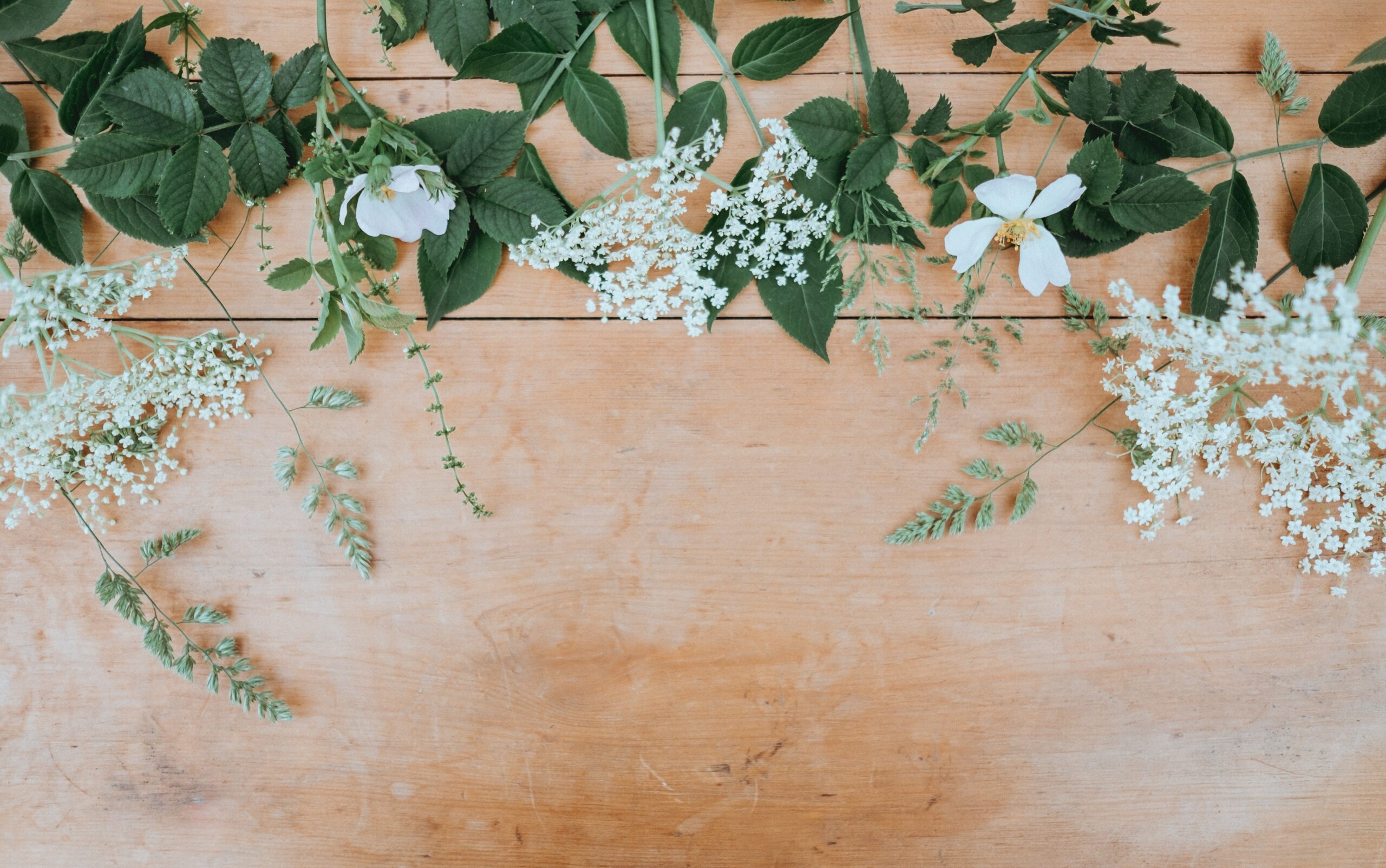 green an dwhite plant foliage ona wooden plank background