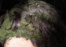 Maryam applying Indigo paste to front of hair, front view