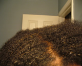 Sany's afro-curly hair after henna and indigo, top view