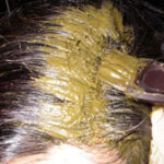 Maryam applying Henna paste to the top of her head